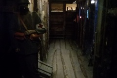 dav