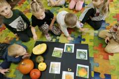 0ace6c9c-b752-4b79-bcfb-afa2b10ea72e