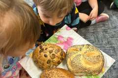 565bccaa-c4f0-4c52-b3f8-0244a4f95dcc