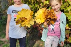 ca7c9ff0-79f0-4bb2-955e-244370efb1d6